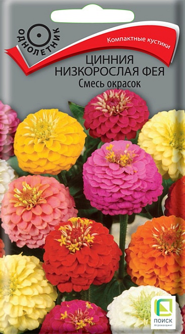 Цинния низкорослая Фея Смесь окрасок 0,1г /Поиск
