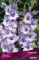 Гладиолус Тритон 10/12 5шт