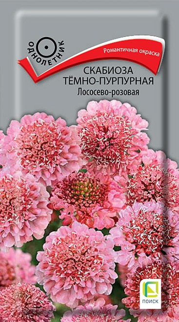 Скабиоза темно-пурпурная Лососево-розовая 0,2г /Поиск
