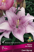 Лилия ЛА-гибрид Свит Шугар 12/14 3шт