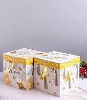Коробка подарочная НГ 22*22*22см микс
