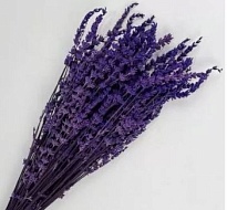 Лаванда сухоцвет, 70г, h50-60см, сиреневый