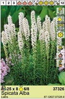 Лиатрис Спиката Альба 6/8 8шт*