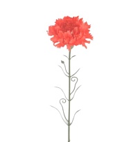 Гвоздика искусственная 1голова h50см микс