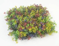 Газон искусственный с мелким листом розы 50*50см зеленый комбинированный