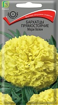 Бархатцы (Тагетес) Мери Хелен прямост. 0,4г /Поиск