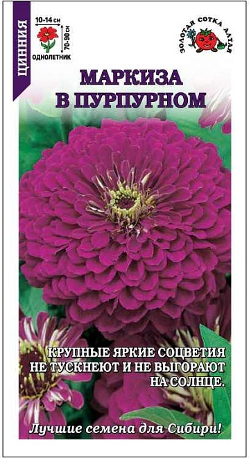 Цинния Маркиза в Пурпурном 0,2г /ЗС