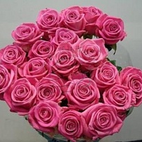 Роза Aqua! дл.40 10шт