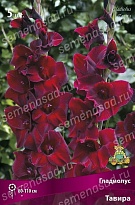 Гладиолус Тавира 10/12 5шт