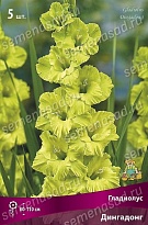Гладиолус Дингадонг 12/14 5шт