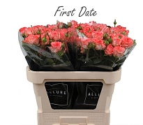 Роза кустовая First Date дл.70 10шт