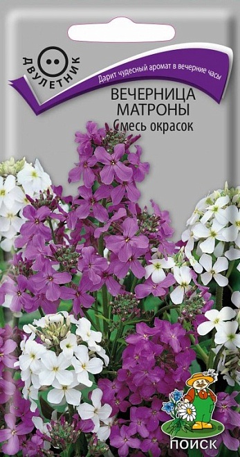 Вечерница Матроны Смесь окрасок 0,3г /Поиск