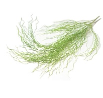 Ампельная зелень, искусственная, водоросли, h95см зеленый