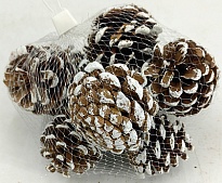 Шишка сосновая 5-7см 10шт натуральный 