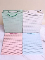 Пакет подарочный 18*24*8,5см микс