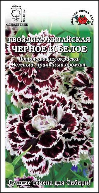 Гвоздика китайская Черное и Белое 0,05г /ЗС