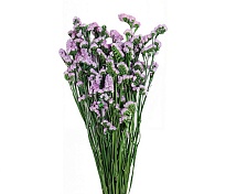 Статица сухоцвет 120гр светло-розовый