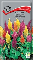Целозия перистая Лилипут микс 0,1г /Поиск