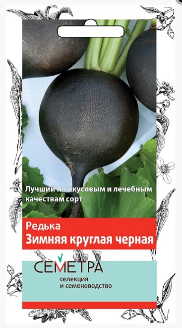 Редька Зимняя круглая черная среднесп. 2г /Поиск