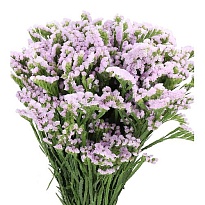 Статица Tessa Lavender 5шт