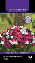 Бальзамин Бикон Пунш 7шт /Поиск