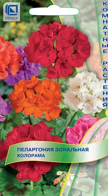 Пеларгония зональная Колорама 0,05г /Поиск