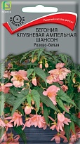 Бегония клубневая ампельная Шансон Розово-белая 10шт /Поиск