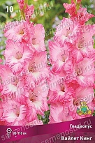 Гладиолус Вайлет Кинг 10/12 10шт