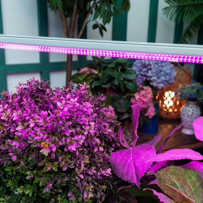 Фитосветильник Uniel линейный 87см выключатель на корпусе белый