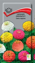 Цинния Лилипут Смесь окрасок 0,4г /Поиск