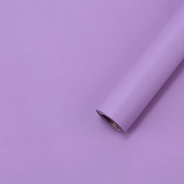 Пленка матовая 57*57см Самая нужная 20 листов лавандовый