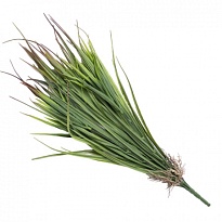Зелень букет искусственный осока h58см зеленый