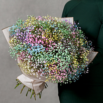 Букет из гипсофилы радужной "Феерия"