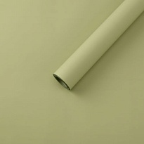 Пленка матовая 50см*10м 50мкр фисташковый