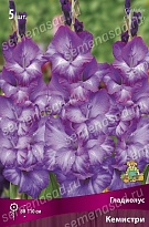 Гладиолус Кемистри 10/12 5шт