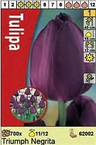 Тюльпан Негрита триумф 11/12 5шт в сетке