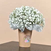 Композиция из гипсофилы "Лебедь"