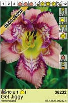 Лилейник Гет Джигги 1шт*