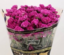 Статица Dark Pink 5шт