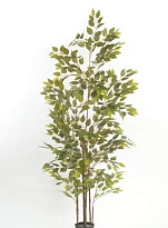 Фикус искусcтвенная h200см зеленый