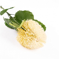 Банксия искусственная 1ветка h56см микс