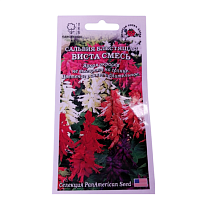 Сальвия Виста Микс 10шт /ЗС