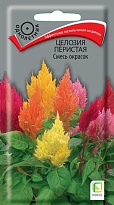 Целозия перистая Смесь окрасок 0,1г /Поиск