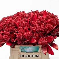 Скимия Per Bunch Paint Red  1пучок
