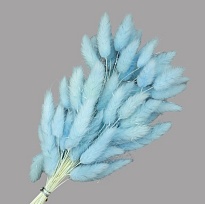 Лагурус сухоцвет, h60-70см, 60шт, светло-голубой