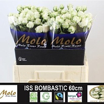 Роза кустовая Miss Bombastic дл.60 10шт