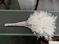 Рускус выбеленный  пучок 1шт