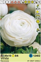 Лютик Белый 5/6 10шт*