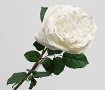 Роза одиночная искусственная h65см белый