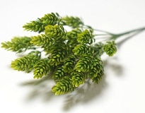 Зелень, букет искусственный, хмель, 7 веток, h33см, зеленый